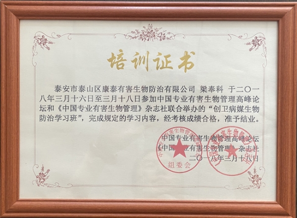培训证书