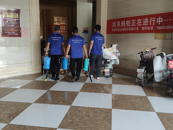 消杀现场
