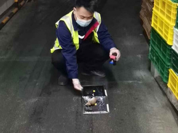 灭老鼠
